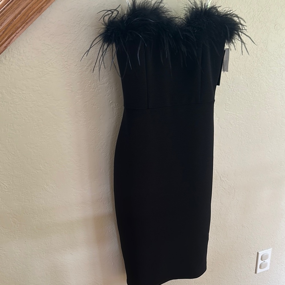 Feather-Trimmed Dress